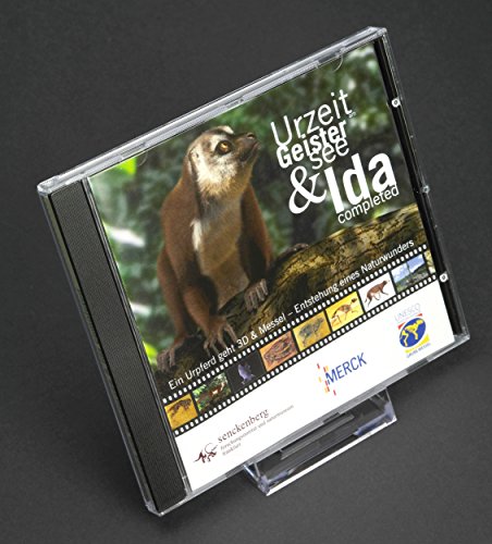 10-Tellerstnder-Schiebestnder-XXL-gro-aus-Plastik-10cm-hoch