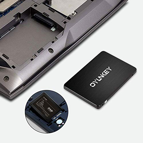 OYUNKEY 3D NAND SSD 120GB 2 5 pulgadas SATA III Disco duro s  lido interno hasta 520 MB s de velocidad de lectura  hasta 400 MB s de velocidad de escritura para Desktop   Laptop   Notebook   E PRO-120G   
