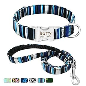 Beirui Collar Perro Personalizado con Hebilla de liberación rápida – Collares para Perros Personalizados con Patrones Florales – Navy Blue Collar y Correa Perro – S(10-15.5″Cuello)