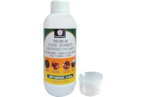 OrganicDews Liquid Seaweed Concentrate for Plants (1 Litre) with Measuring Cup 25 ml Fertilizer for All Indoor and Outdoor Pl