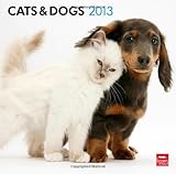 Cats & Dogs 2013 - Katzen & Hunde - Original BrownTrout-Kalender by 