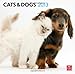 Cats & Dogs 2013 - Katzen & Hunde - Original BrownTrout-Kalender by 