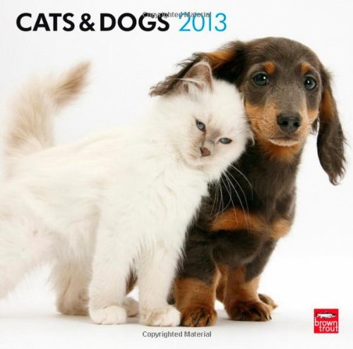 Cats & Dogs 2013 - Katzen & Hunde - Original BrownTrout-Kalender