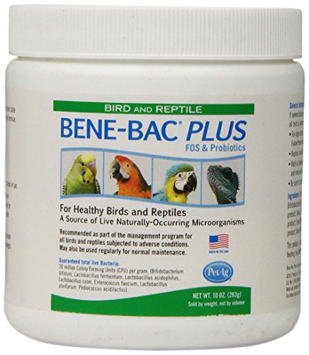 Pet Ag Bene-bac
