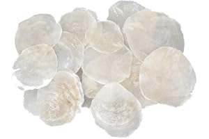 RILOSTORE 25 STK Perlmutt Scheiben Capiz Perlmuttscheiben Natur Weiss 7-11cm TISCHKARTEN Namenskarten Muschelscheiben runde Perlmuttplatten Maritime Deko Anker Strandhochzeit Camar Muscheln