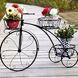 3 gradas de metal Maceta Soporte de planta Hierro Bicicleta creativa...