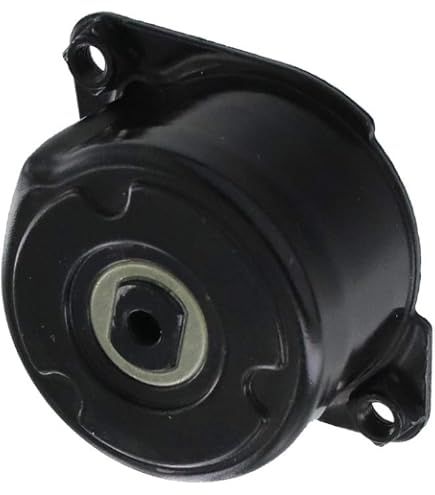 Skf Vkm 31218 Kit De Galet Enrouleur Multi-V à 47.32 EUR - 08/2025