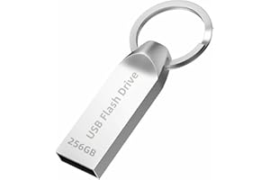 Chiavetta USB 256GB, Poxfun Pen Drive 3.0 Grande Magazzino Pendrive Portable USB Velocità Veloce Chiavette USB per PC/Computer/Automobile