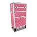 Roo Beauty Tanzania Beauty Trolley Hairdressing Case, Manicure And Nail Case In Imperial Pink