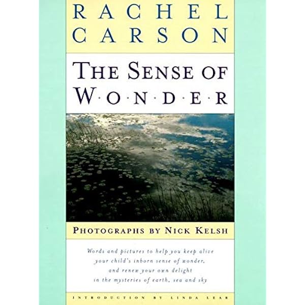 The Sense Of Wonder Amazon De Carson Rachel Fremdsprachige Bucher