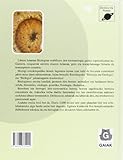 Image de Biologiaren Hiztegia (Zientzia Eta Natura)
