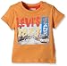 Levi's Baby-Boys Short Sleeve Moty T-Shirt, Orange (Ochre), 18-24 Months (Manufacturer Size:18 Months)