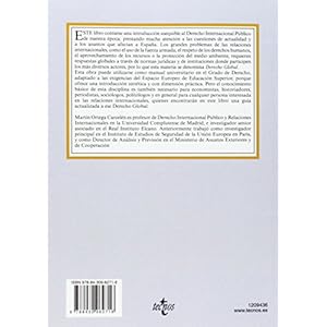 Derecho Global / Global law: Derecho Internacional Público En La Era Global