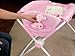 Fisher-Price Newborn Rock n' Play Sleeper, Pink Gingham and Giraffe