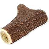 Geweih Mineralsnack für Hunde | Gesund, mineralisch und diätisch | Kausnack für jeden Hund | robuste und langanhaltende Kaubeschäftigung | Auch für Welpen geeignet (M, 1 Stück)