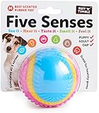 Ruff 'N' Tumble Five Senses