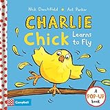 Charlie Chick Learns To Fly by 