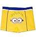 Produktbild Badehose / Badeshorts - " Minion Gesicht - Ich einfach unverbesserlich " - Größe 8 bis 9 Jahre - Gr. 134 bis 140 - für Jungen Kinder Badepants - Boxershorts Shorts mit Bein - Pants - Minions / Mark Dave Stuart Bob Kevin - Despicable Me - Boxer / Badebekleidung - Badepanty