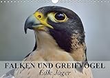 Falken und Greifvögel. Edle Jäger (Wandkalender 2019 DIN A4 quer): Blitzschnelle und edle Jäger auch im Dienste der Menschen (Monatskalender, 14 Seiten ) (CALVENDO Tiere) by