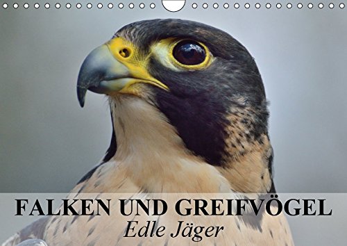 Falken und Greifvögel. Edle Jäger (Wandkalender 2019 DIN A4 quer): Blitzschnelle und edle Jäger auch im Dienste der Menschen (Monatskalender, 14 Seiten ) (CALVENDO Tiere)