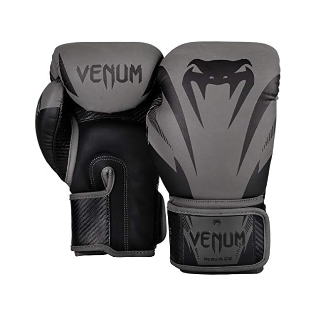 kickboxing gloves venum