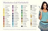 Wandtattoo Loft Wandaufkleber Pusteblume Schmetterling mit Ihrem Wunschtext/ bis zu 15 Wörter frei wählbar / 54 Farben / 3 Größen / dunkelgrau / 1,14 m Höhe x 3,59 m Breite - 2