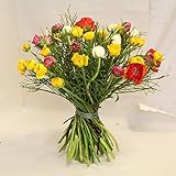  Blumenstrauß Ranunkeln im Trio Size 35 Euro
