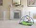 Safe and Secure Metal Playpen