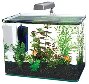 Penn Plax Curved Corner Glass Aquarium Kit