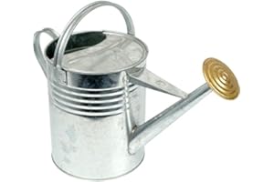 ARBORIA Garden Plant Flower Colour Galvanised Metal Steel Watering Can 9L 9 Litre / 2 Gallon with Brass Rose