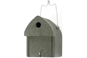 ERBECK - Nistkasten aus Holzbeton mit 32 mm Einflugloch - Blaumeise, Sumpfmeise, Rotkehlchen, Meise, Kohlmeise, Spatzen, Amsel