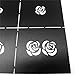 Goldenssy 1x Template Model Sticker Decal Pierced for Nail Art Stamping Prints Pattern Rose Flower