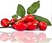 Rosehip Oil 100% Cold Pressed Pure Certified Organic Oil 100ml Best Known Facial Oil with Vitamin E, Vitamin C, B-carotene and a Form of Vitamin A