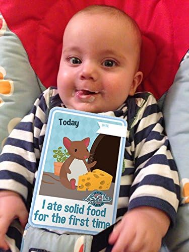 First Year (Baby Boy) Little Star Share Cards - Milestone / Development Cards