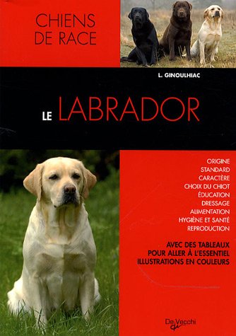 Download Le labrador Download Le labrador