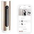 Netatmo Smart Indoor Surveillance Camera with Wall Mount, WiFi 2.4 GHz, Motion Detection, Night Vision, 1920p, No Subscription, NSC01-UK