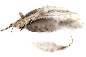 ‎CREATIVERY 10 Hahnenfedern Chinchilla 15-20cm (naturell) // Vogelfedern Schmuckfedern Bastelfedern Maskenfedern Deko Federn Hahn