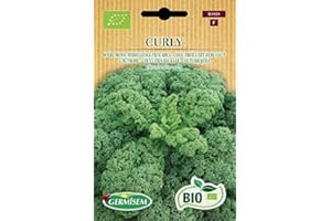 Germisem Orgánica Curly Semillas de Col Rizada 2 g (ECBIO3018)