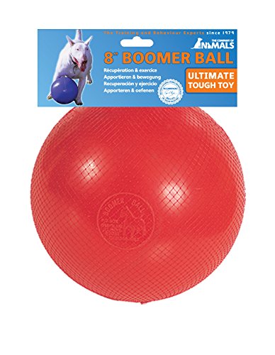 boomer ball amazon