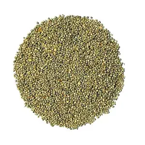 OrchidWala Bajra Seeds - Pearl Millet Seeds for Bird Food 3 KG