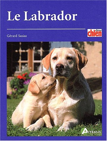 Download Le labrador Download Le labrador