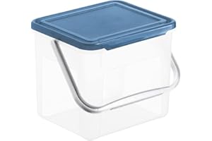 Rotho Basic Scatola di stoccaggio 5l con coperchio e maniglia, Plastica (PP) senza BPA, trasparente/blu, 3kg/5l