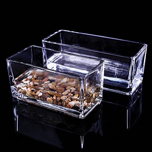 Desktop transparent glass vase,Hydroponic Rectangular Aquatic plants Containers Creative fish tank plant pots 10*4*4inch-A