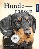 Image de Hunderassen: Die 200 beliebtesten Hunde. Mit 60 Filmen.