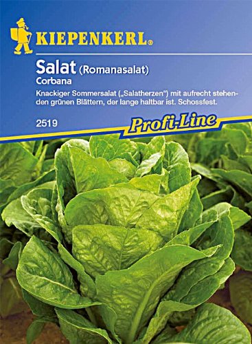 Kiepenkerl Römischer Salat Corbana