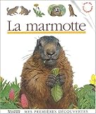 Image de La Marmotte