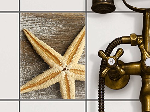 Fliesen-Folie | Dekor-Sticker Aufkleber Folie Küchenfolie Bad-Fliesen Wand Deko | 15x20 cm Design Motiv Starfish - 1 Stück