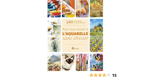 Amazon Fr 240 Techniques Trucs Astuces Pour Tout Reussir A L Aquarelle Sans Stresser Berry Robin Chareyre Christine Livres