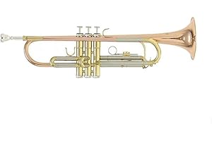 Roy Benson Bb Trompete MOD.TR-202G goldmessing lackiert, inkl. Etui