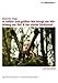 In Gefahr und gr??ter Not bringt der Mittelweg den Tod / Der starke Ferdinand by Alfred Edel
